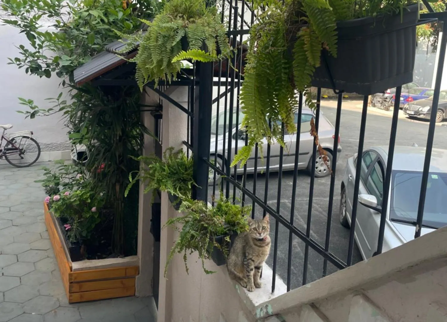 Bougainvilla Apartments 티라나 알바니아